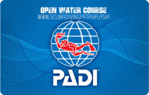 PADI open water course Pattaya