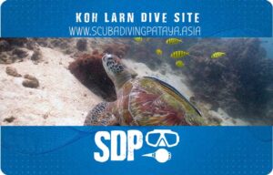 Koh Larn - Ko Lan Pattaya Dive Site Coral Reef