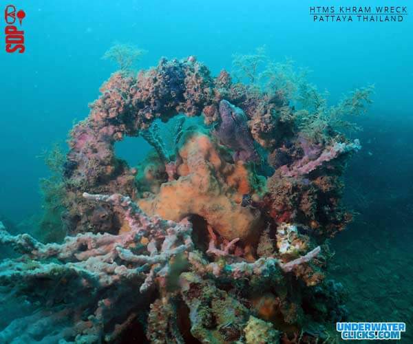 HTMS Khram Wreck Dive Site Pattaya