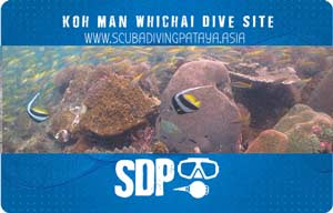 Koh Man Whichai Pattaya Dive Site Coral Reef