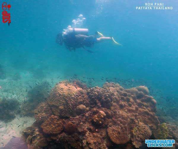 Koh Phai Island Dive Site Pattaya [scubadivingpattaya.asia]