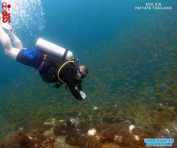 Koh Rin Dive Site Pattaya [scubadivingpattaya.asia]