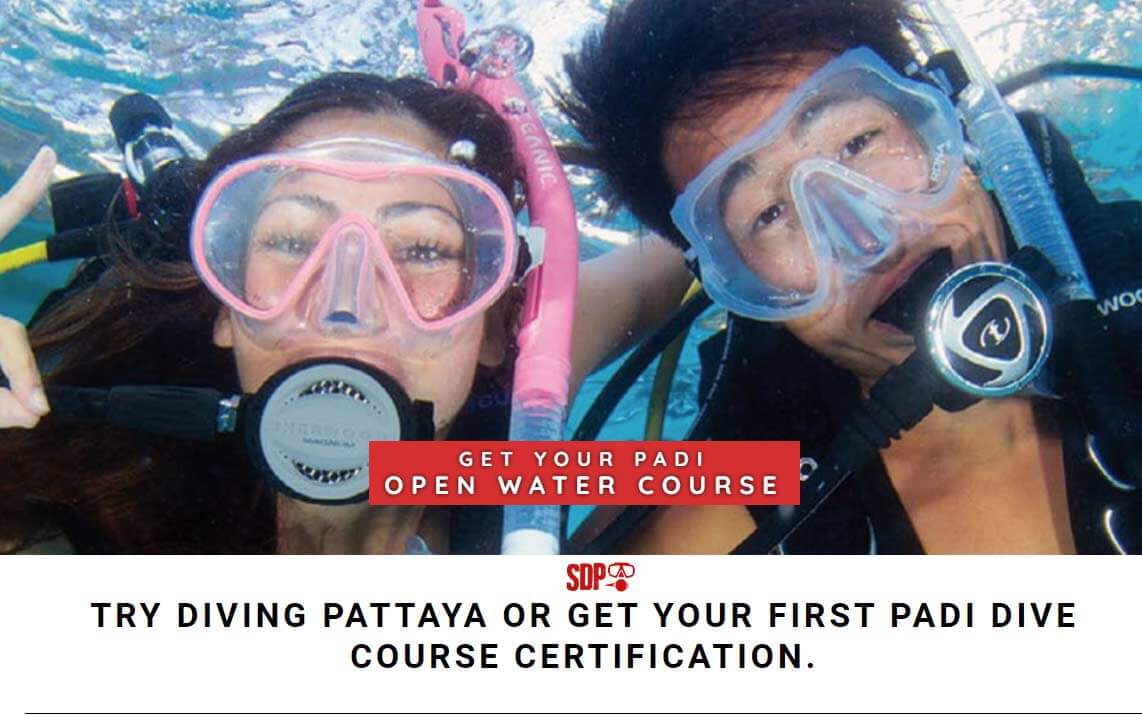 Pattaya Try Diving | Get Your First PADI Dive Course Certification